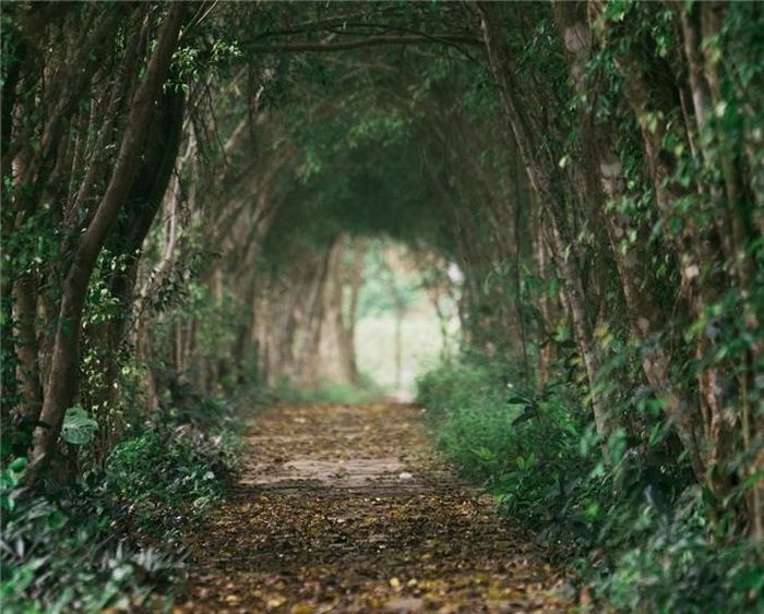 Trong hành trình khám phá Việt Nam, Stephen Nash ấn tượng nhất là khung cảnh đẹp như tranh của những ngôi nhà gỗ ẩn mình giữa thiên nhiên, bao quanh bởi các khối đá vôi khổng lồ ở Tam Cốc - Bích Động. Đây cũng là điểm đến để du khách chiêm ngưỡng và tìm hiểu nơi sinh sống của nhiều loài chim.