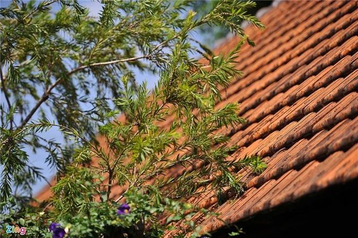 Các ngôi nhà sàn ở đây đều được lợp mái ngói.