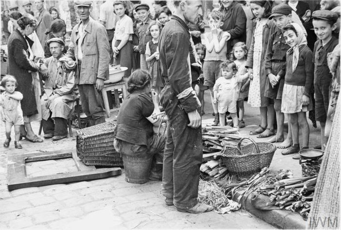 Theo đó, những người bệnh được đưa đến một khu vực riêng trong ghetto. Kế đến, người Do Thái thuyết phục được quan chức Đức quốc xã cho mua một số thuốc men, thực phẩm, xà phòng và nước từ bên ngoài vào để điều trị cho các bệnh nhân.