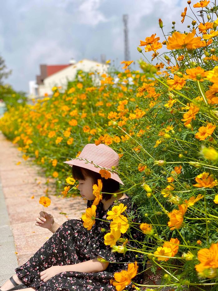 Vạt hoa ở một hẻm nhỏ trong lòng Phố núi Pleiku. Ảnh: ĐÀO AN DUYÊN