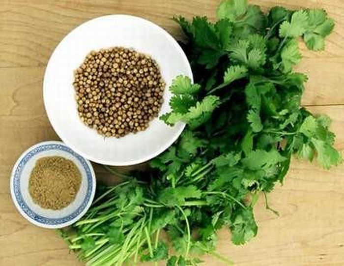 Ăn rau mùi ở số lượng vừa phải sẽ giúp loại bỏ các vấn đề về gan nhưng nếu lạm dụng, các thành phần trong rau sẽ làm việc ngược lại.
