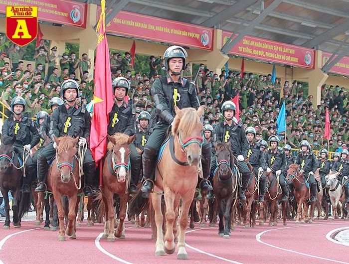 Những cán bộ chỉ huy với đầy đủ trang bị vũ khí, cùng dàn tuấn mã đã thu hút sự chú ý của người xem