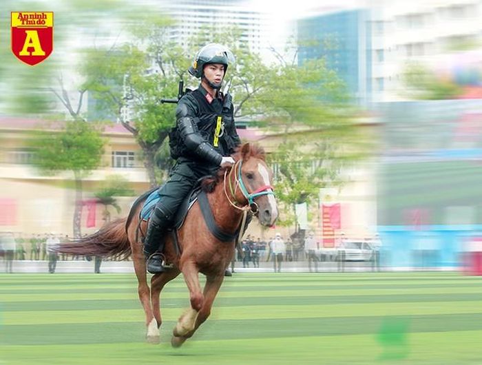 Xuất phát từ những nhu cầu thực tiễn, lực lượng Cảnh sát cơ động Kỵ binh được thành lập, từng bước tăng cường năng lực, sức chiến đấu cho lực lượng CSCĐ