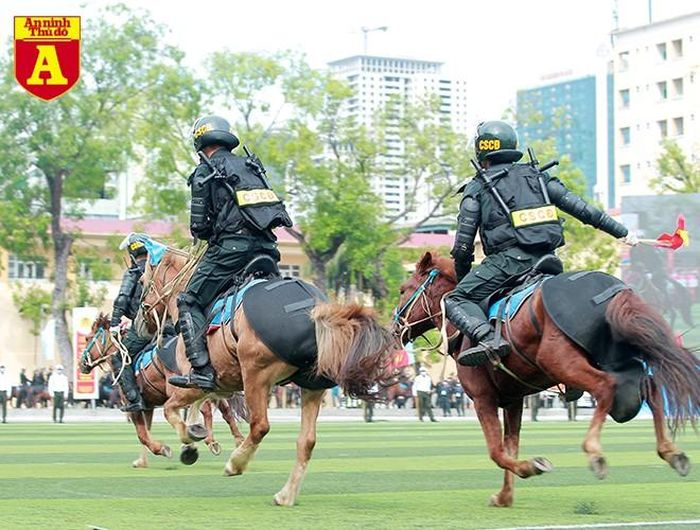 Để đảm bảo vệ sinh môi trường, đoàn ngựa được trang bị túi đeo phía sau