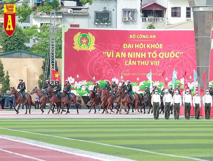 Được biết, tầm quan sát của các chiến sĩ khi ngồi trên lưng ngựa sẽ rộng lớn hơn, nhiều vị trí đi bộ khó khăn nhưng ngựa lại đến được... khi được trang bị vũ khí lực lượng này có thể đấu tranh phòng chống tội phạm