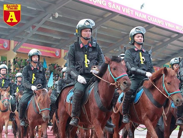 Lực lượng Cảnh sát cơ động Kỵ binh hiện đang huấn luyện và thuần dưỡng ngựa ở Trung tâm nghiên cứu và phát triển chăn nuôi miền núi (xã Bình Sơn, TP Sông Công, tỉnh Thái Nguyên)