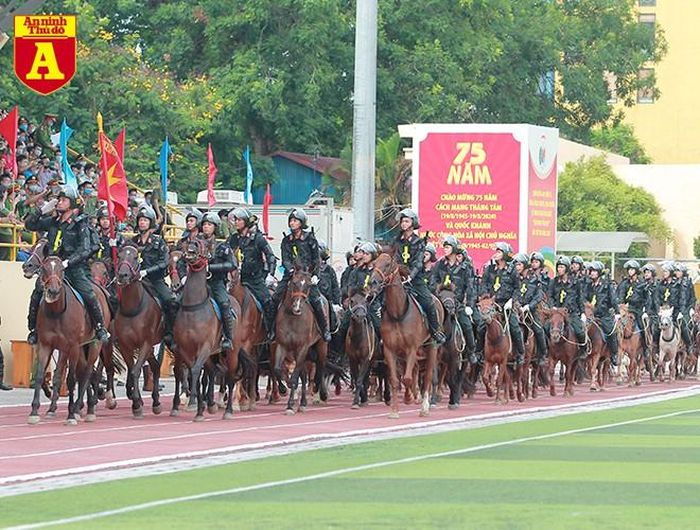 Đội kỵ binh trong tương lai sẽ phục vụ các hoạt động diễu binh diễu hành, tuần tra kiểm soát, phòng chống tội phạm tại các địa bàn phức tạp