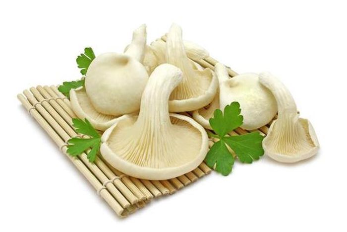 Nấm bào ngư tươi là thực phẩm lý tưởng giúp nâng cao sức khỏe, tăng cường hệ miễn dịch và sức đề kháng.