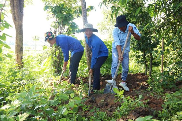 Không chỉ đi đầu trong phát triển kinh tế, Ndu Ha Eo (ở giữa) còn là thủ lĩnh đoàn năng nổ