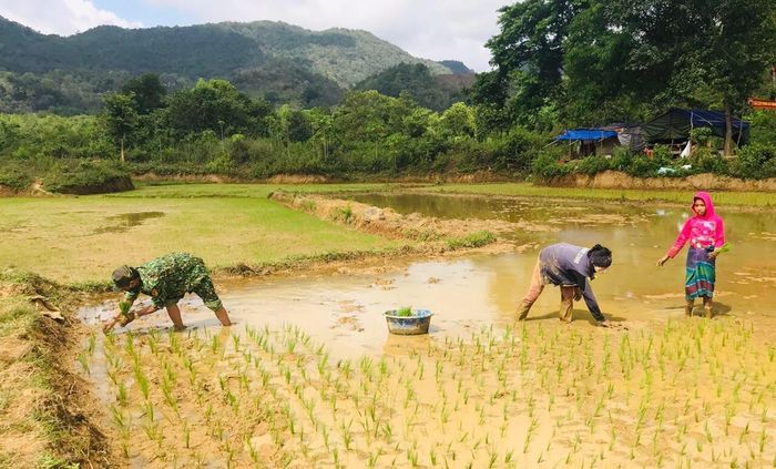  Bộ đội Đồn Biên phòng Hướng Lập (BĐBP tỉnh Quảng Trị) hướng dẫn nhân dân canh tác lúa nước.