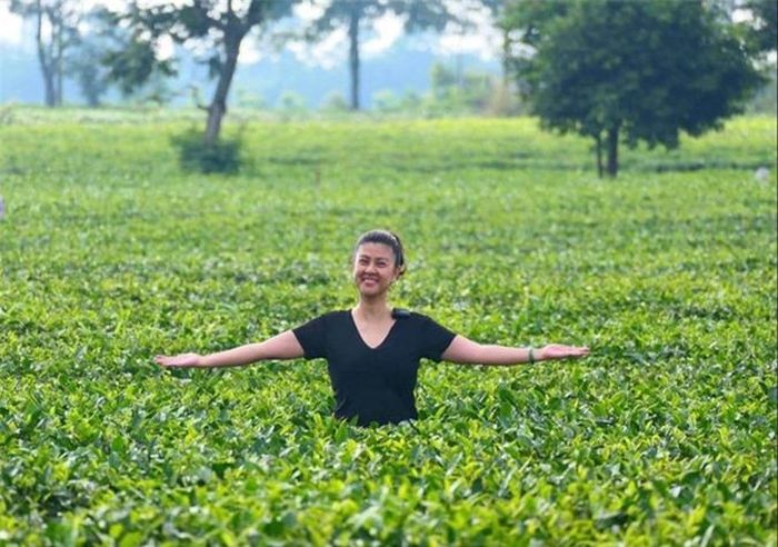 Đằng sau khó khăn, điều Kim Thư gặt hái được là vài đoạn video tự làm với phong cách mộc mạc cùng những cảm xúc lạ lẫm. Mỗi nơi chị đi qua đều để lại ấn tượng đặc biệt bởi ẩm thực, văn hóa, mảnh đất, con người... 'Nếu miền Tây chất phác, hào sảng thì Quy Nhơn ở miền Trung khiến tôi quyến luyến hơn cả. Ngoài cái đẹp, tôi thương sự nhọc nhằn của ngư dân và nể tính chịu thương, chịu khó vượt lên số phân của họ. Rồi những người dân tộc, tôi tự hỏi vì sao họ sống được nhỉ? Có lẽ giờ đây cách nhìn cuộc sống của tôi đã khác trước. Khi người ta hướng đến những tiện nghi ở hiện tại thì tôi quay về với truyền thống. Tôi đi xa để đau đáu nghĩ về nơi mình đã khởi hành', nữ diễn viên xúc động tâm sự.