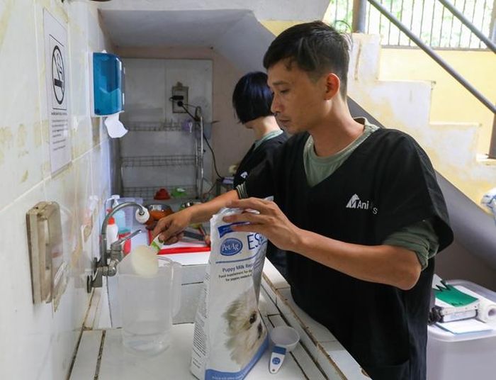  Đối với gấu con, lượng thức ăn phải bằng khoảng 15% trọng lượng cơ thể nó, nhưng lượng thức ăn này phải được chia nhỏ ra và cho ăn thành 5 lần một ngày. Hiện gấu Anh được ăn mỗi bữa: 430 ml sữa cùng một ít hoa quả cắt nhỏ: táo, lê, chuối. Trong khi gấu em 320 ml sữa cùng hoa quả cắt nhỏ. dạ, các loại hoa quả hay thức ăn dạng hạt cho chó con cũng đc giới thiệu cho hai gấu con, tất cả đều được cắt nhỏ. 