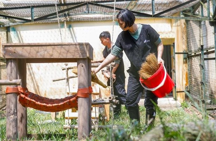 Gấu ở Trung tâm hàng ngày được ra khỏi chuồng để chơi, tắm nắng và "sinh hoạt cộng đồng" với các con gấu khác. Đồ chơi của chúng thường là những quả hồ lô có mật ong, vài loại củ quả được đặt ở những nơi kích thích trí tò mò của gấu. Đây cũng là một phương pháp để nghiên cứu thói quen, đặc tính của từng con gấu ở Trung tâm.