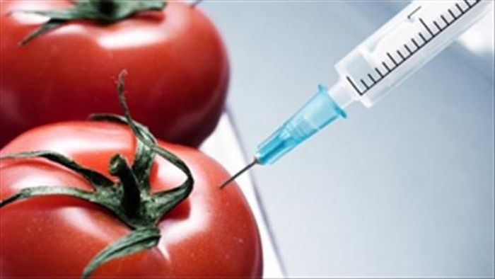 Sử dụng hóa chất để kích thích quả chín, màu đẹp… là việc làm dẫn đến TPKAT .