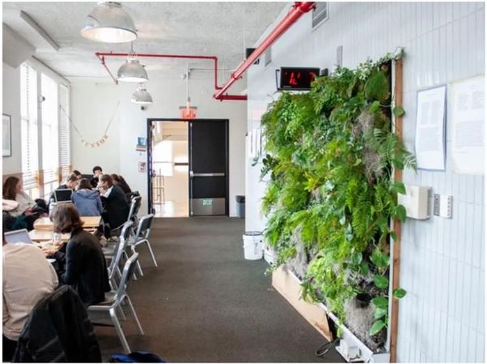 Khu ngồi chơi của học sinh. Ảnh: Katie Warren/Business Insider.
