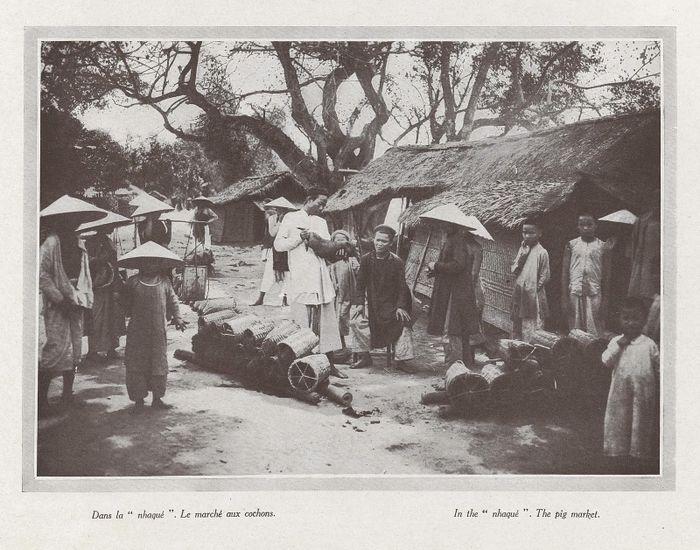 Người "nhà quê" (nhaqué, theo ghi chú trong ảnh) bán lợn ở chợ.