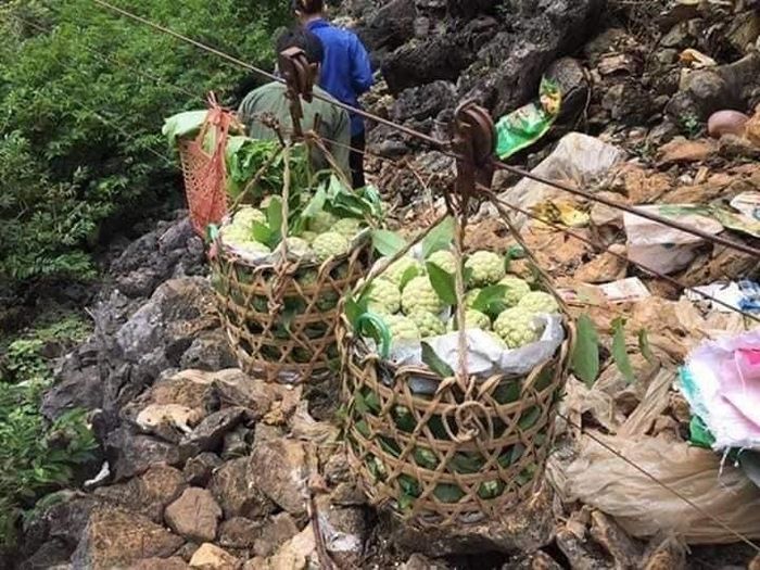 Na được chuyển bằng ròng rọc xuống núi