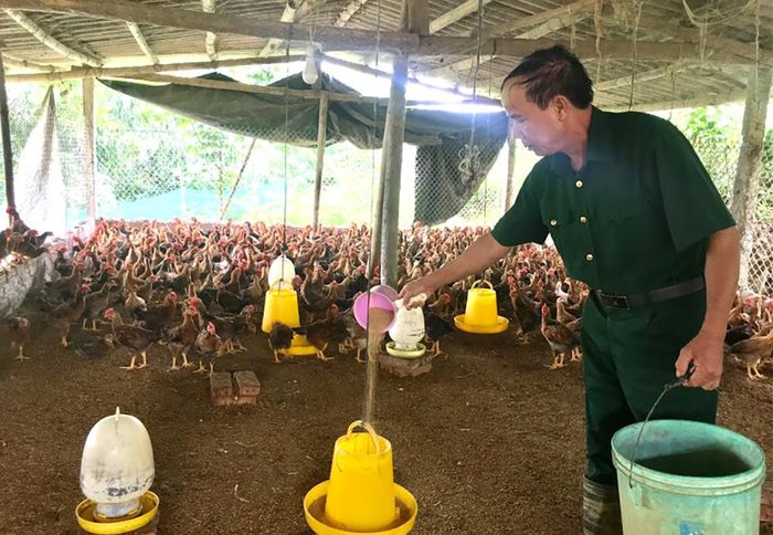 Mô hình kinh tế trang trại của ông Kiên cho thu nhập ổn định khoảng 200 triệu đồng/năm.