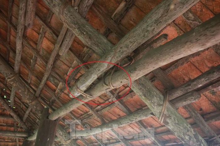 Các cấu kiện bằng gỗ trong ngôi đình được kết nối bằng dây mọc tự nhiên trong khu rừng lim những vân bền trắc theo thời gian.