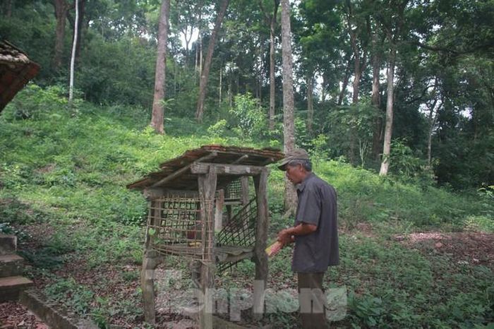 Khu rừng lim cổ và ngôi đình trở thành nguồn sống tinh thân không thể thiếu của người dân Cao Lan nơi đây. Hằng năm, người dân Cao Lan ở đây đều vào làm lễ trong đình cầu mưa thuận gió hòa, sức khỏe và bình an.