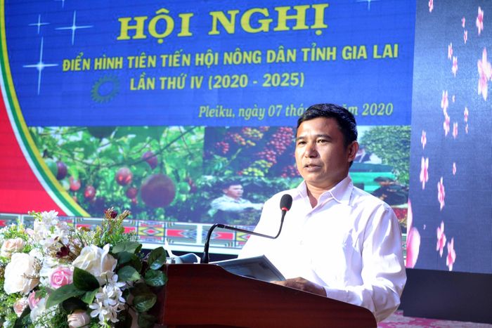 Anh Phạm Văn Bình, hội viên nông dân huyện Krông Pa tham luận tại hội nghị. Ảnh: Hoàng Minh 
