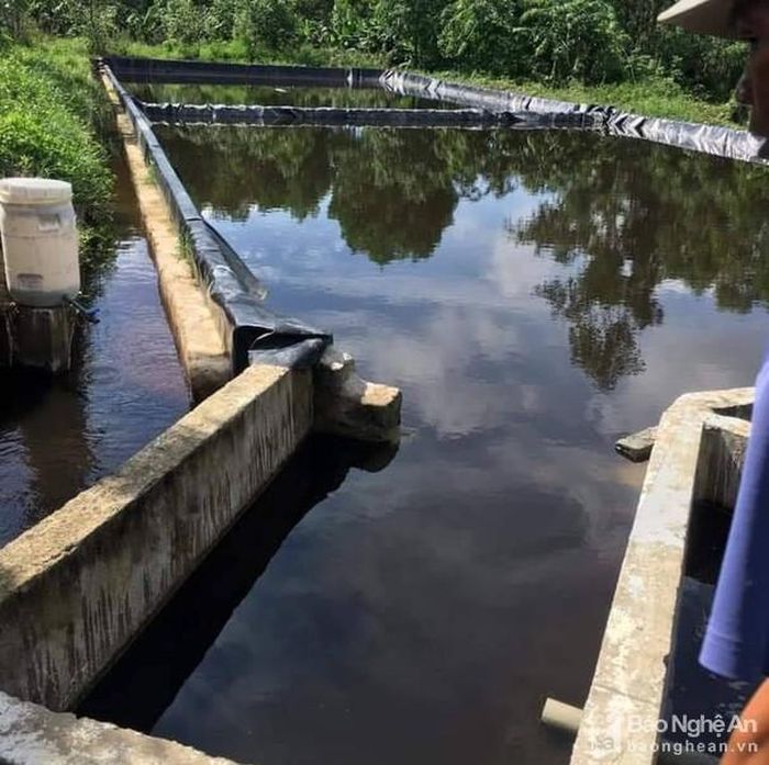 Bạt HDPE chống thấm của hồ lắng bị rách nhiều chỗ. Ảnh: Đắc Lam