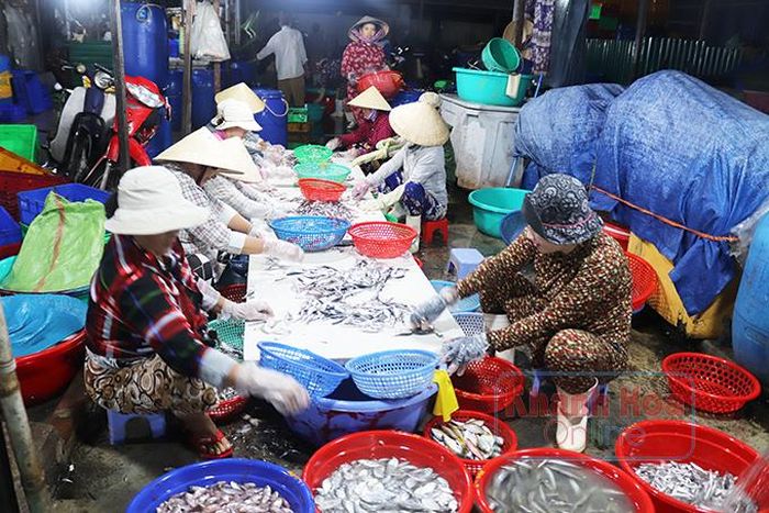  Những mẻ cá nục đánh bắt trên biển xuyên đêm được bày bán ở Bến cá dân sinh Vĩnh Trường từ rạng sáng. 