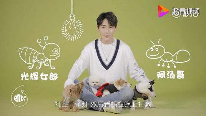 Chu Nhất Long khiến khán giả bất ngờ khi khoe sở thích nuôi thú cưng của mình trên sóng truyền hình. Thú cưng "có một không hai" này chính là một bầy kiến. Nam diễn viên chia sẻ, anh còn đặt tên cho từng chú kiến và thích xem từng hoạt động của chúng.
