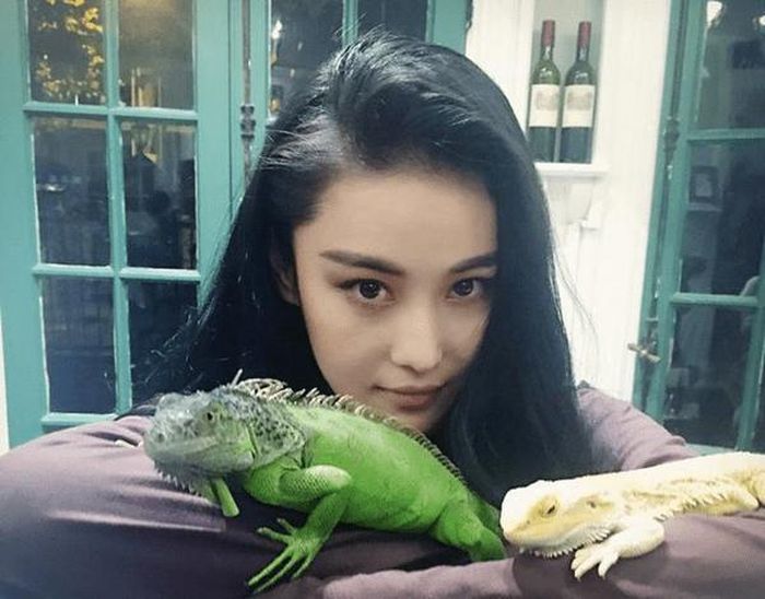 Trương Hinh Dư cũng có sở thích nuôi thằn lằn. Nữ diễn viên còn cho chúng bò lên tay, lên vai và cho chụp ảnh cùng.