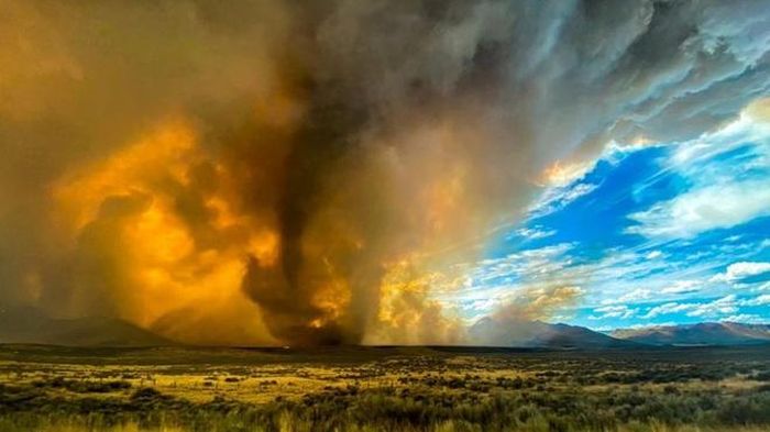  Vòi rồng lửa trong đám cháy rừng Loyalton ở California hôm 15/8. Ảnh: Reuters. 