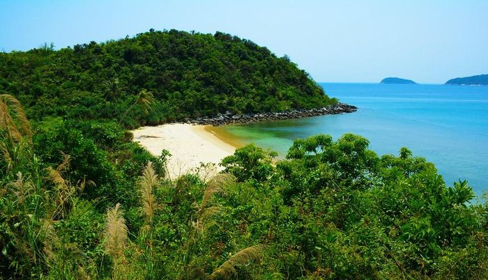 Một bãi biển hoang sơ được bao quanh bởi rừng rậm.