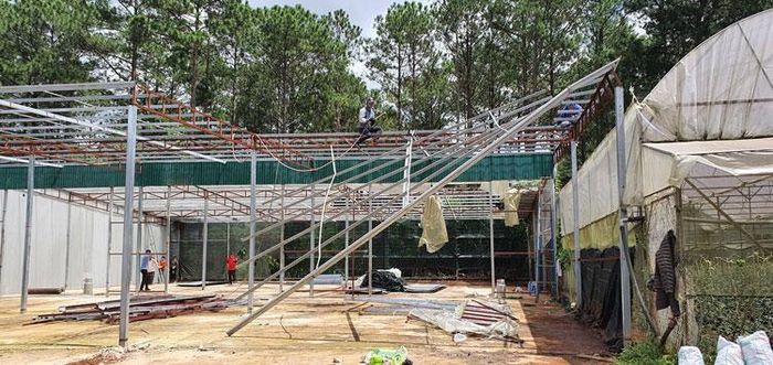 Lực lượng chức năng cưỡng chế, giải tỏa nhà kính dựng trái phép trên đất lâm nghiệp bị lấn chiếm