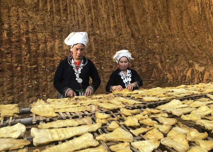 Người dân thôn Bản Tát, xã Tri Phú (Chiêm Hóa) phơi măng khô.