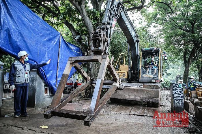 Trong quá trình thi công, bảo vệ cây di sản là công tác đặc biệt quan trọng. Khi thi công đến gần các gốc cây, đơn vị thi công đều phải tiến hành neo cành cây bằng cáp đường kính 18-22 mm, dài 10-40m