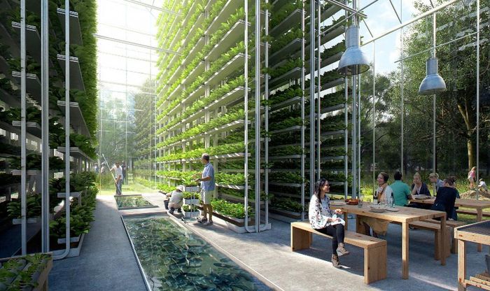 Sẽ có các loại cây trồng được chỉnh sửa gen và nó sẽ kích hoạt nhiều loại cây trồng khác nhau. Ảnh: Christiankromme.