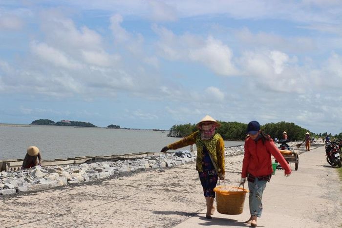 Đem ruốc phơi khô 
