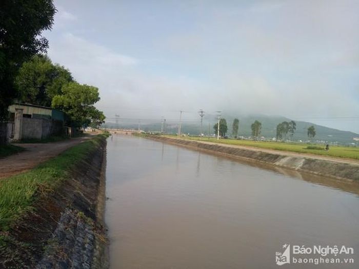 Hệ thống kênh chính Ba ra Đô Lương sẽ đóng nước 21 ngày, từ ngày 22/8 đến 13/9/2020. Ảnh: Văn Trường