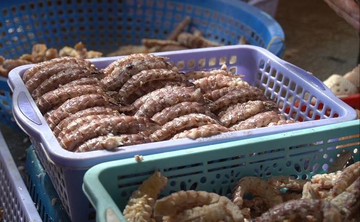 Con tôm tích đã được sơ chế.