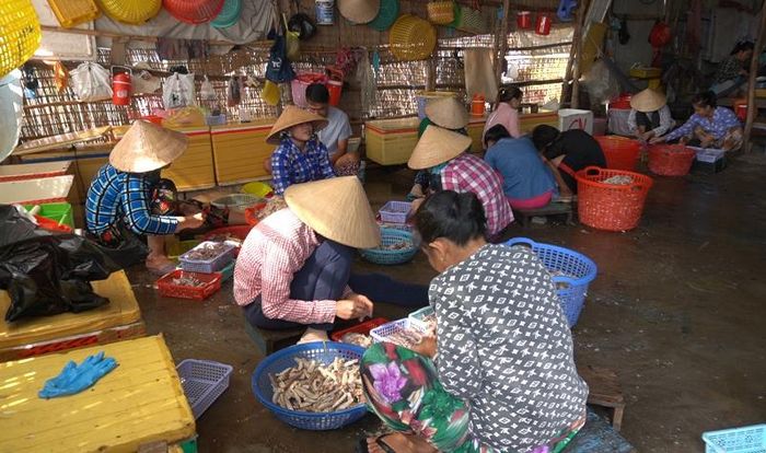 Một điểm sơ chế tôm tích trên đảo.