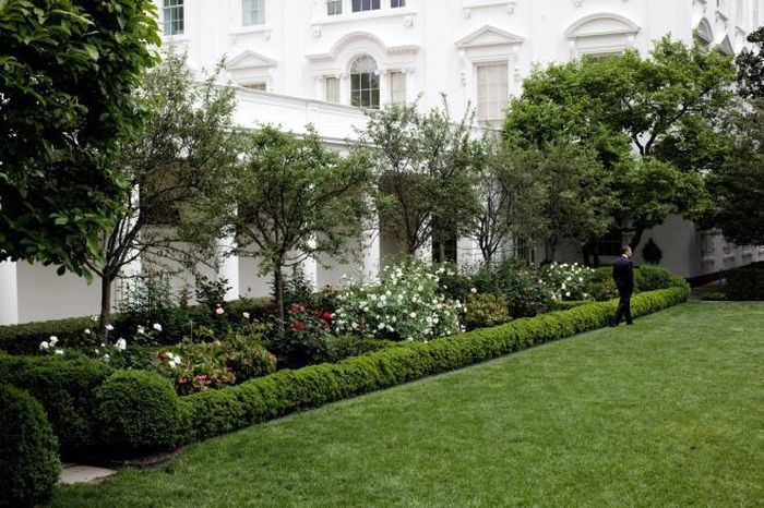 Một góc khác của vườn hồng Nhà Trắng trước đây. Trong hình là cựu Tổng thống Barack Obama.