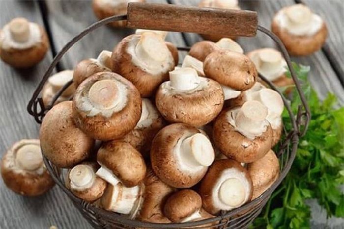 Cách chọn nấm hương ngon.