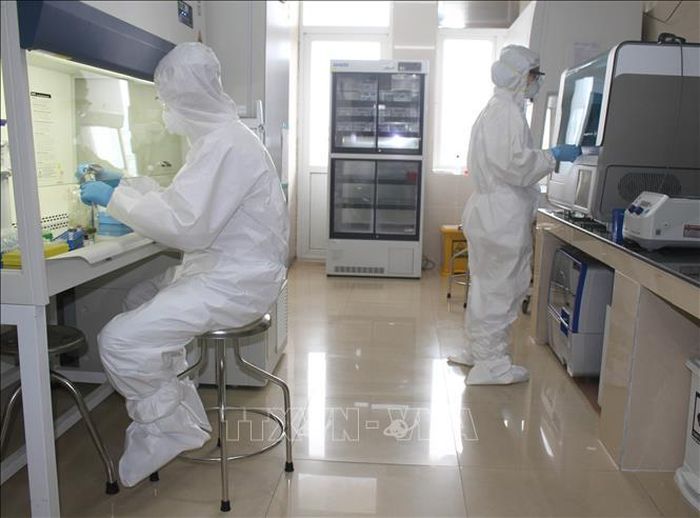 Cán bộ Khoa Hóa sinh - Vi sinh, Bệnh viện Đa khoa tỉnh Ninh Bình thực hiện xét nghiệm Sars-Cov-2. Ảnh: Thùy Dung/TTXVN