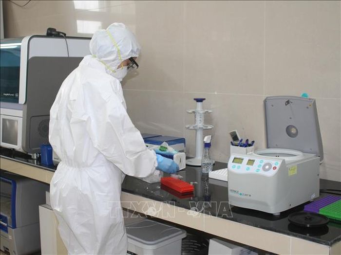 Cán bộ Khoa Hóa sinh - Vi sinh, Bệnh viện Đa khoa tỉnh Ninh Bình thực hiện xét nghiệm Sars-Cov-2. Ảnh: Thùy Dung/TTXVN