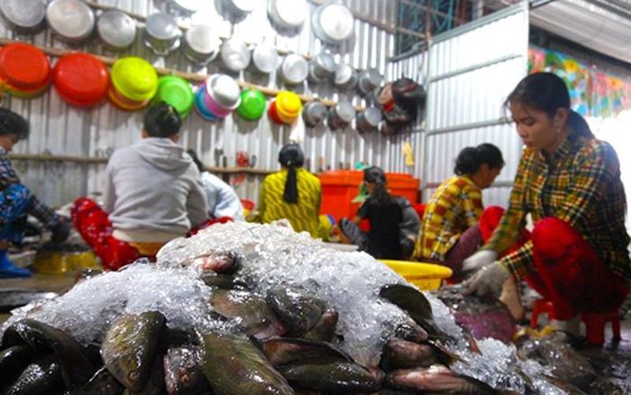 Công nhân sơ chế làm khô sặc rằn.
