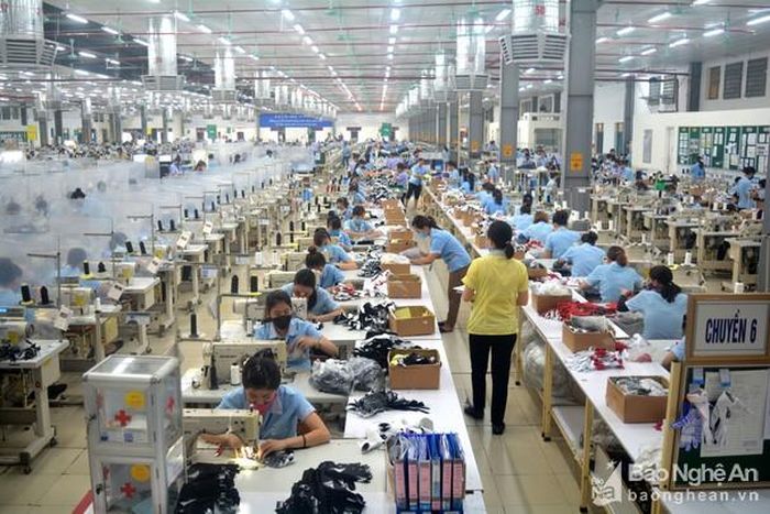 Nghề may đang được nhiều lao động nông thôn lựa chọn. Ảnh tư liệu của TP