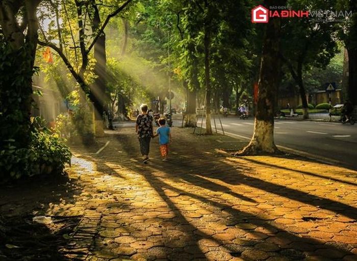 Những tia nắng sớm mai xuyên qua kẽ lá, hắt lên làn sương bảng lảng chưa kịp tan tạo nên một sắc đẹp huyền ảo.
