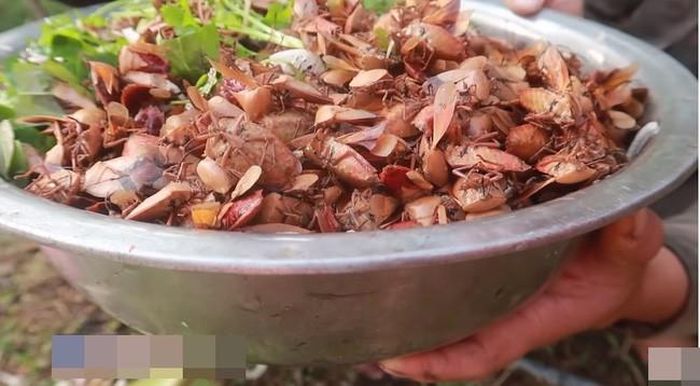 Những màn câu view này khiến nhiều người chỉ biết lắc đầu ngán ngẩm, thậm chí còn bị phản đối kịch liệt.