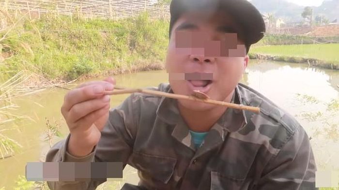 Hình ảnh những con côn trùng đang cọ quậy trong nước sốt rồi được đưa trực tiếp vào miệng của người ăn khiến ai nấy đều không khỏi rùng mình.