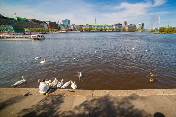 Chèo thuyền quanh hồ Alster