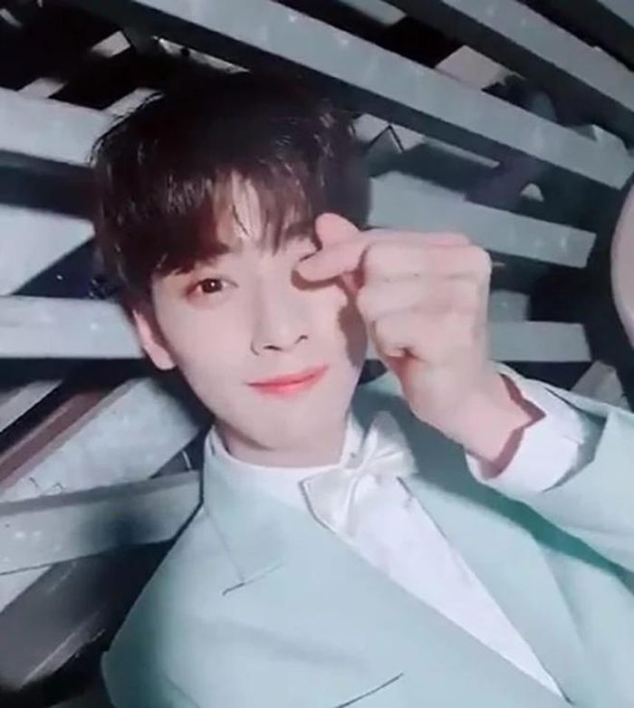 Cha Eunwoo